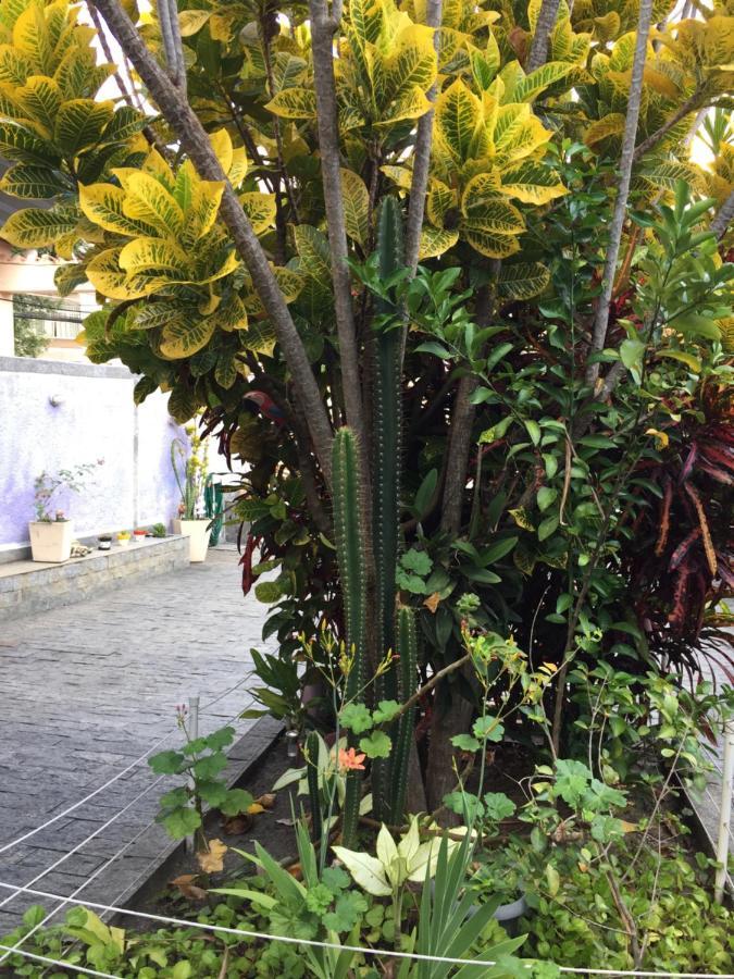 Casa Aconchegante Em Vila Valqueire ริโอเดจาเนโร ภายนอก รูปภาพ